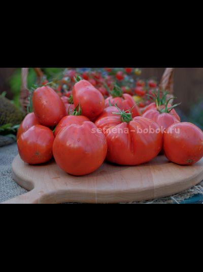 Томат Mama Mia (Мама Мия), 10 шт