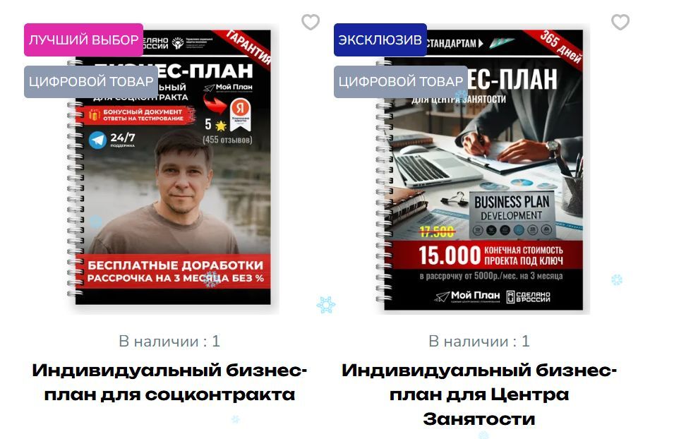 Разработка бизнес-плана для социального контракта и субсидии от центра занятости от компании &laquo;Мой Пл