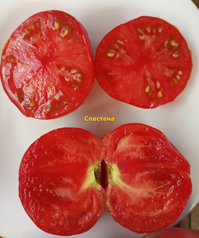 Томат Сластена