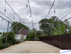 Подвес белый с микродождевателем / фоггером (6мм Н), с клапаном "антикапля", 50 см (зеленый) 26,0 л/ч