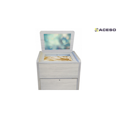 Сундучок логопеда "Антошка" (для ДОО)