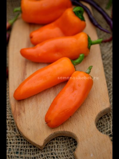 Перец сладкий Апельсин, 10 шт