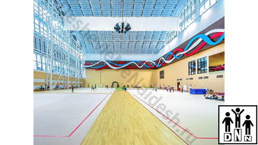 Гимнастический ковер