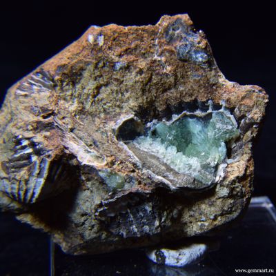 Анапаит, кристаллы в полости ракушки. 55*52*33мм