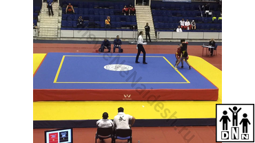 Помост для ушу саньда