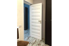 Дверь L 76 в комнату