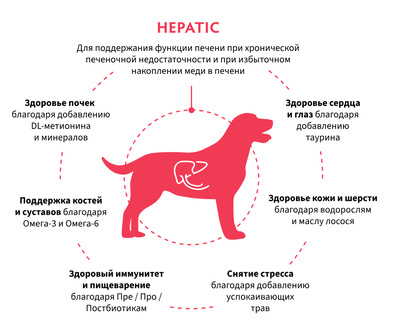 Grandorf VET Hepatic (Грандорф  Вет Гепатик) для поддержания функции печени при хронической печеночной недостаточности, 3кг