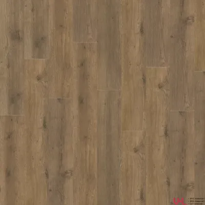 SPC ламинат Adelar Eterna Major Oak / Крупный Дуб 05855 купить на vinyl-laminat.ru