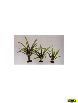 81004-30 Растение шелк.Криптокарина Баланса 30см