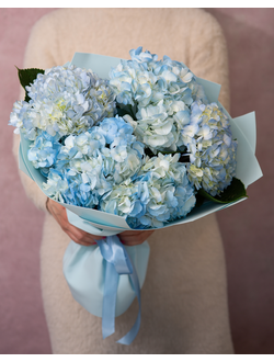 Воздушный букет из 5  голубых гортензий