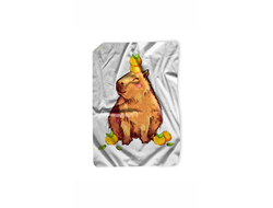 Покрывало Капибара, Kapibara-san №17