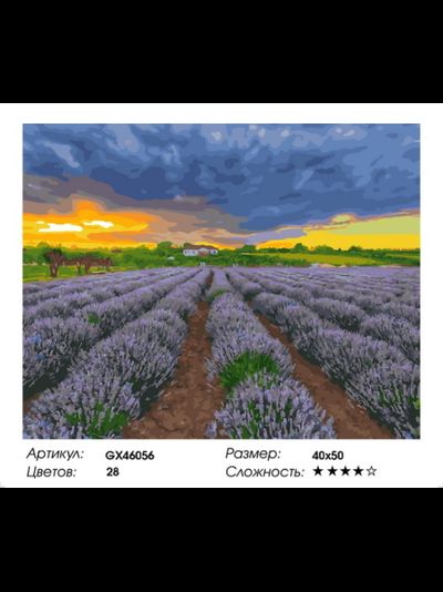 Картина по номерам 40х50 на подрамнике GX46056