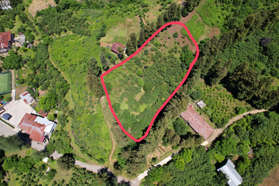 Продаётся земельный участок в Чакви - пригород Батуми.  Цена: 20$/м²