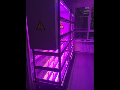 LED 5sheif-fitocontrol