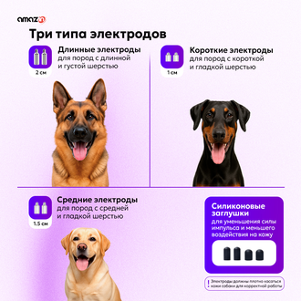 Электронный ошейник для собак DT4200