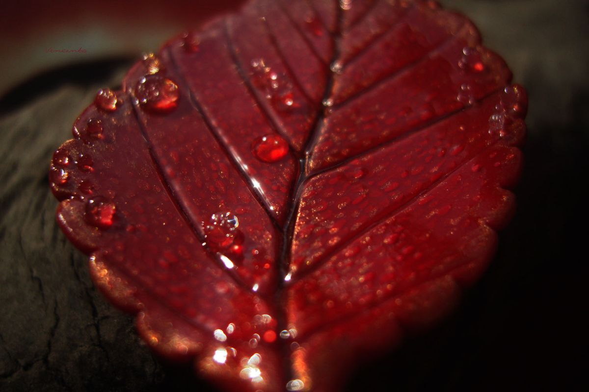 Волшебные украшения Vincento. Брошь "Гиперион. Объятый жаром лист"