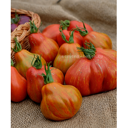 Томат Borsa di Montone (Баранья сумка), 10 шт.