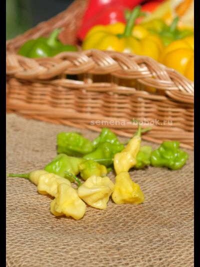 Перец острый Dulce Luna (Дольче Луна), 10 шт