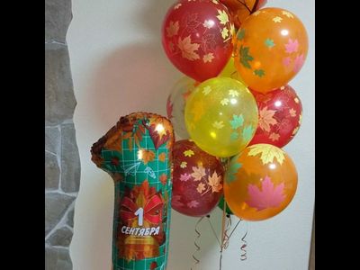 День знаний № 4