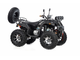 Квадроцикл Raptor Max Pro 300cc (4 1) фото