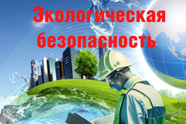 Услуги по экологической безопасности  ( по программе повышения квалификации  «Обеспечение экологической безопасности руководителями, специалистами  общехозяйственных систем управления» - заочное обучение, без отрыва от  производства)