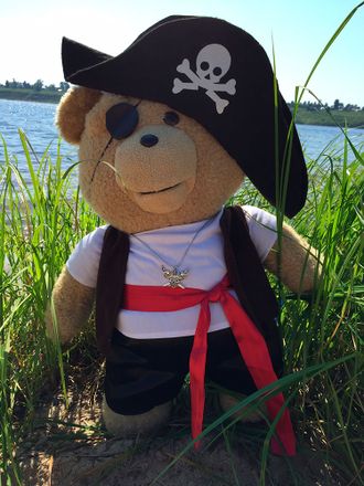 Тед Пират