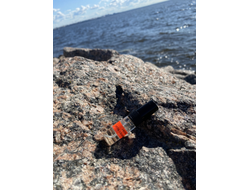 Духи НОТА: УСТА САХАРНЫЕ, 3.5 мл