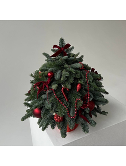 Елочка из нобилиса 40 см красная