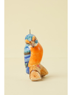 Зимородок - птицы России