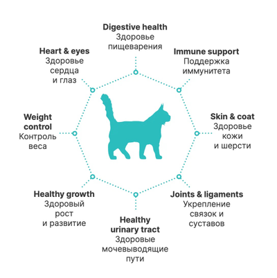 PREMIER (Премьер) сухой корм для кошек крупных пород, Ягненок, индейка 2 кг