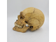 череп, ариец, офицер, фриц, кость, скелет, черепок, skull, голова, труп, человек, лицо, останки