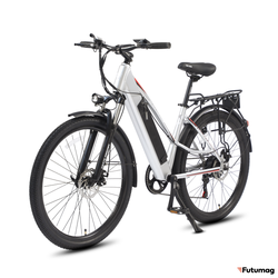 Электровелосипед WHITE SIBERIA CAMRY LIGHT 500W матовый серебристый