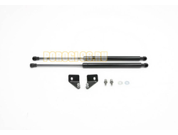 Амортизаторы капота, 2 шт. Rival для Renault Sandero StepWay I 2010-2014