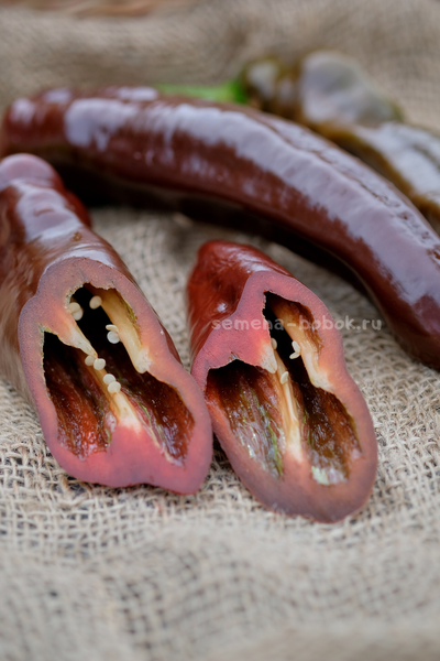 Перец сладкий Spitzpaprika Chocolate (Шпицпаприка Чоколейт), 10 шт