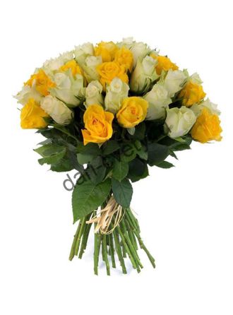белые и желтые розы  25 шт