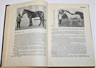 Буденный С.М. Книга о лошади. Том 1. М.-Л.: Сельхозгиз, 1933.