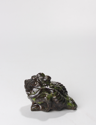 Денежная Трехлапая Жаба 4