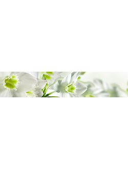 Интерьерная панель №17  "Нарциссы" глянец 3000*600*1,5мм  АБС