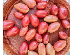 Томат Маглия роза (Maglia rosa)