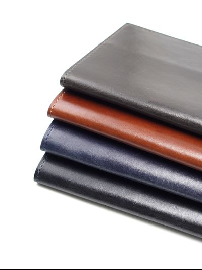 Обложка для паспорта BL-h-001