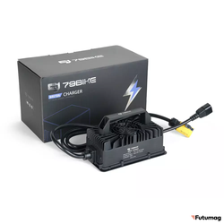 Зарядное устройство 79Bike