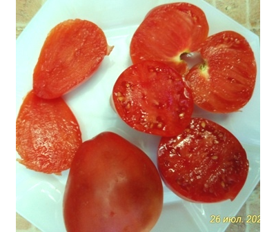 Томат Венгерский овал (Hungarian Oval)