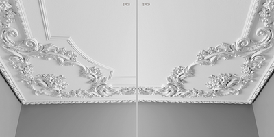 Потолочная композиция SPK8