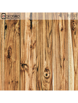 Пластиковый фотофон «Рольда»