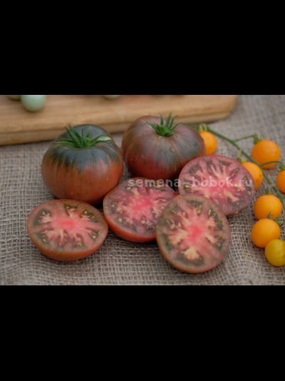 Томат Dwarf Pierce’s Pride (Гном Гордость Пирса), 10 шт