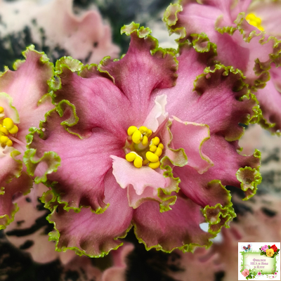 МТ-Пески Времени (М. Тотиева) 2022 г.