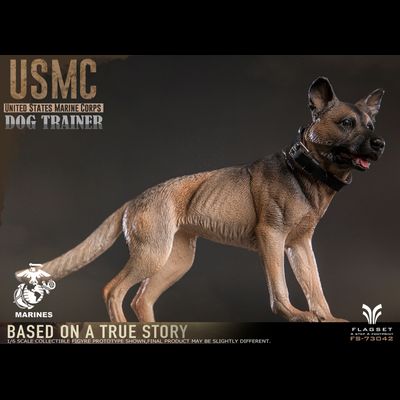 Американский морпех-кинолог с собакой - КОЛЛЕКЦИОННАЯ ФИГУРКА 1/6 USMC Dog Trainer (FS73042) - FLAGSET