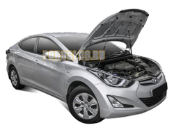 Амортизаторы капота, 2 шт. АвтоУпор для Hyundai Elantra V рестайлинг 2013-2016