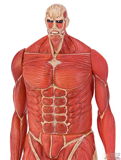 Фигурка КОЛОСС ТИТАН (COLOSSAL TITAN)