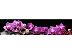SP-089 ФИОЛЕТОВЫЕ ОРХИДЕИ НА ЧЁРНОМ ФОНЕ Глянцевая  стеновая панель ALBICO  2800*610*6мм.